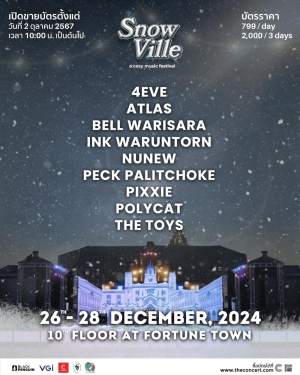 Snow Ville - a cozy music festival